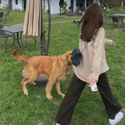 夺命追踪者