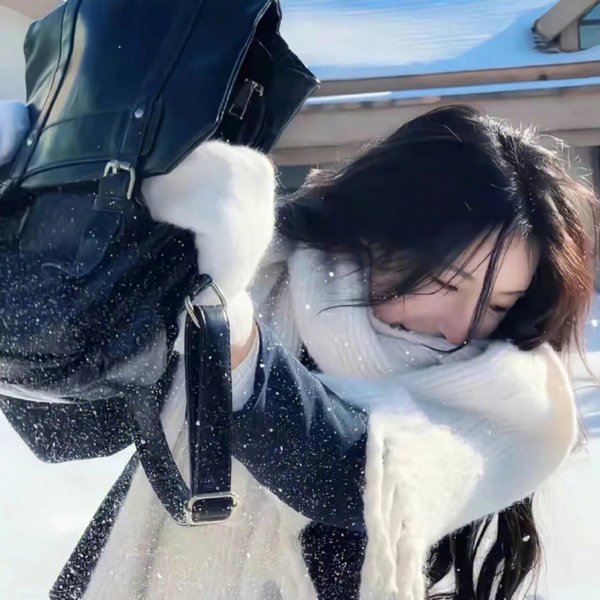 岸边露伴卢浮宫之行