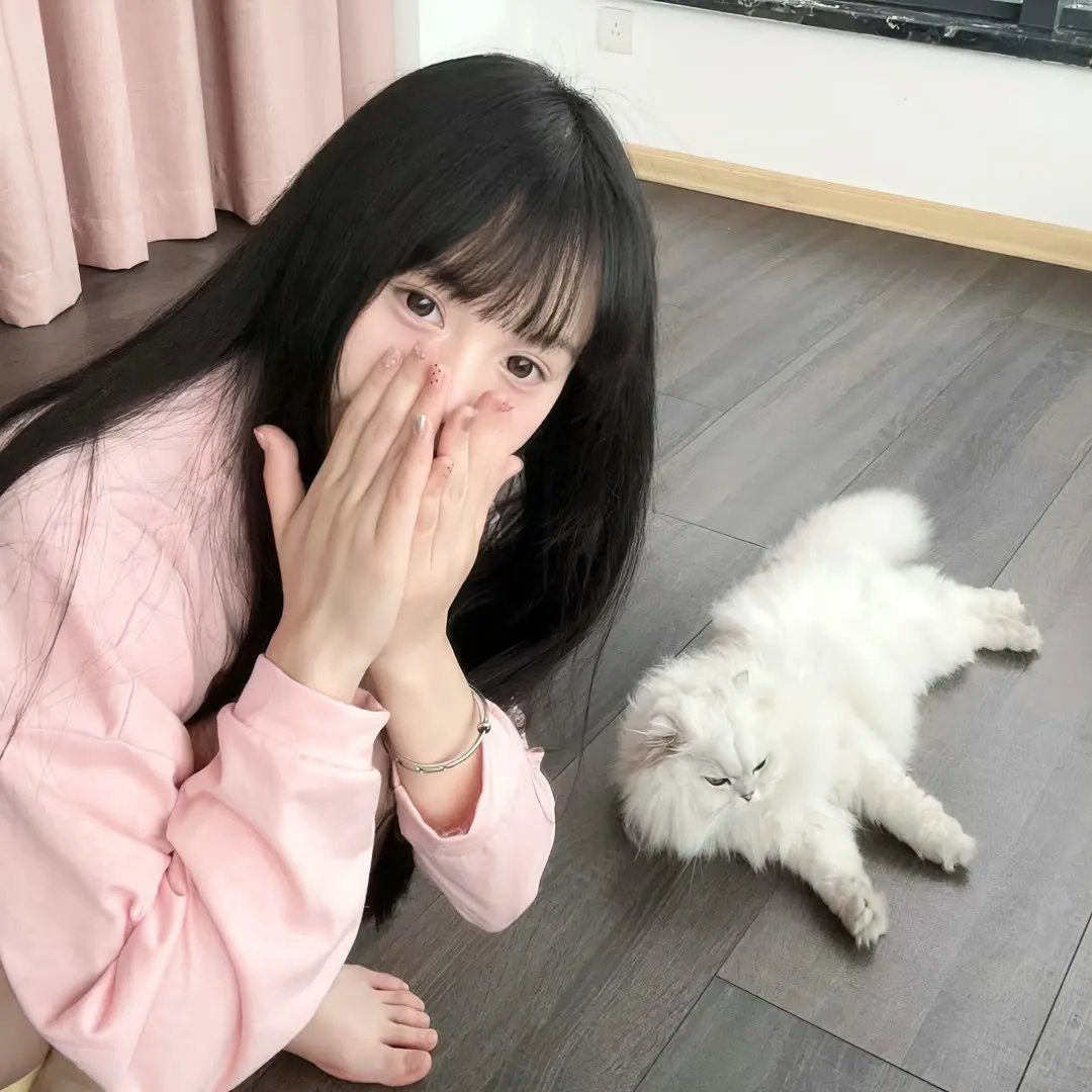 完美世界